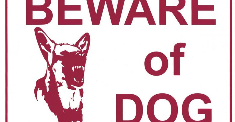 beware-of-dog