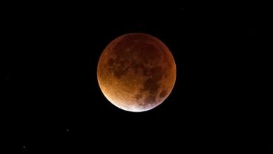 Photo of Red Wolf Moon visible late Sunday night, early Monday