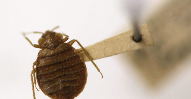 Bed bugs, Oklahoma, Rogers County,