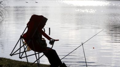 Photo of Missouri hunting and fishing licenses on the decline