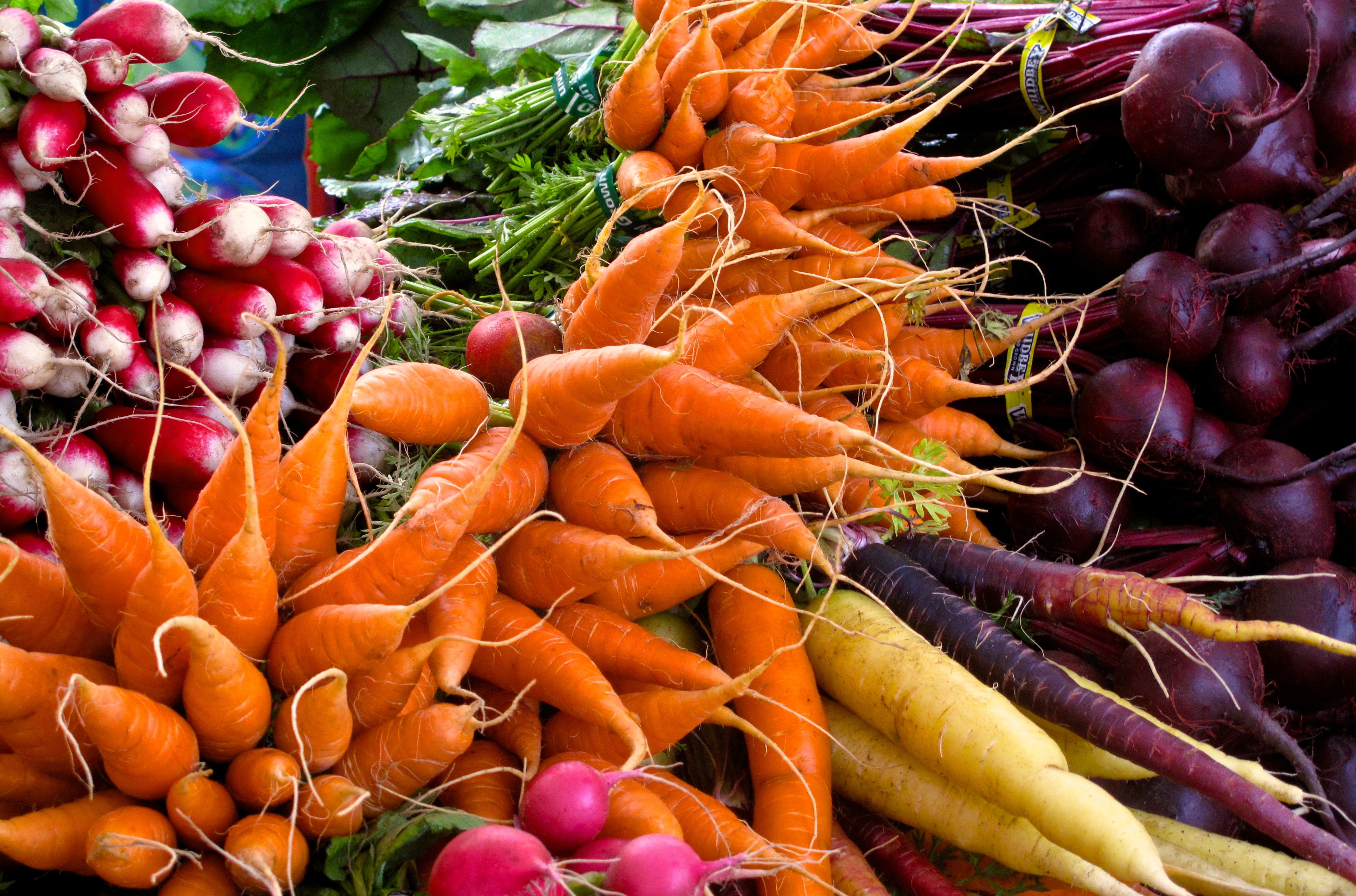 Фото моркови и свеклы