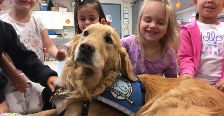 Jackson, Comfort Dog, Immanuel Lutheran, Martin Luther School, Joplin