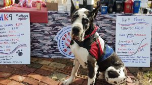 Heartland Canines For Veterans, News Talk KZRG