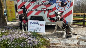 Heartland Canines For Veterans, News Talk KZRG