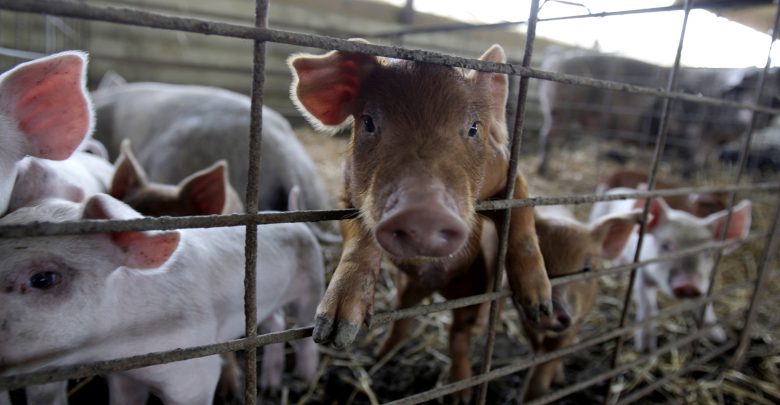 farming, Missouri agriculture, Newstalk KZRG