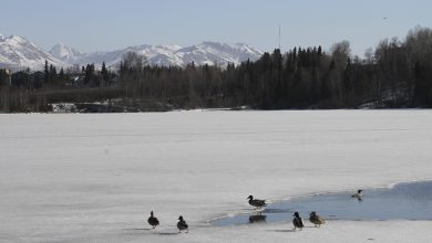 Photo of Hiker lost in Alaska, has been found