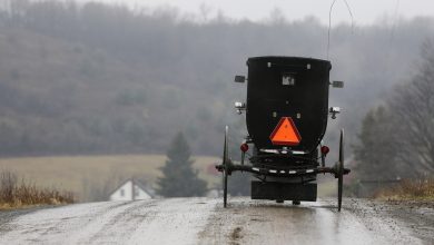 Photo of Woman in buggy dies when hit by car in Morgan County