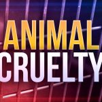 animal cruelty, animal abuse, Newstalk KZRG