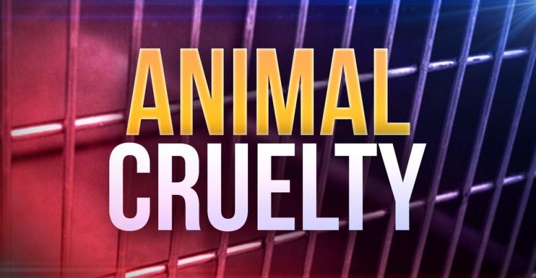 animal cruelty, animal abuse, Newstalk KZRG