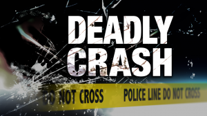 Fatal traffic accident in Stone County