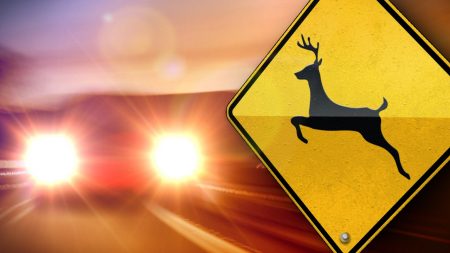 Sunday night car-deer accident injures one