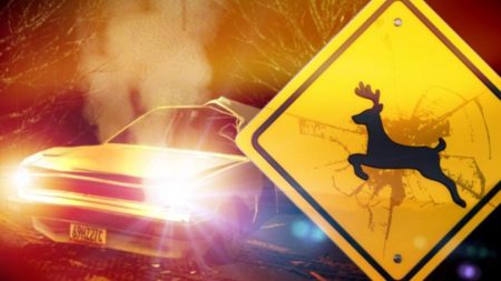 Man suffers injuries after hitting deer in roadway