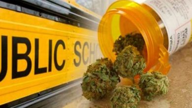 Photo of Medical Marijuana Topic Of Discussion Among Missouri School Boards