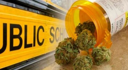 Medical Marijuana Topic Of Discussion Among Missouri School Boards