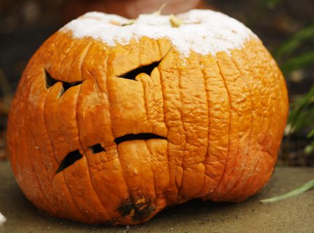 sad pumpkin, cold weather, Halloween, jack-o-lantern, Newstalk KZRG