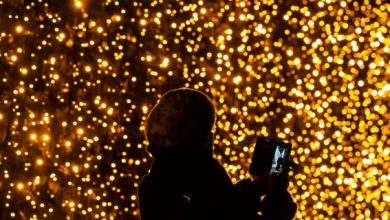 Photo of Downtown Lighting Ceremony November 25th