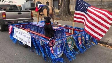 Photo of Joplin Veterans Day Parade Saturday Morning