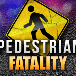 Pedestrian+fatality