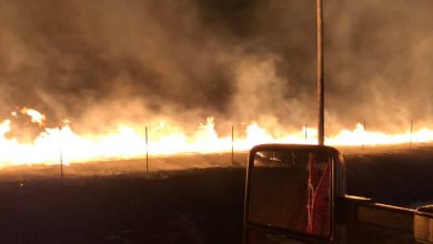 Photo of Large Grassfires Across Southeast Kansas