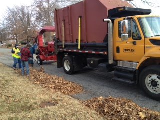 Leaf Pick Up