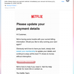 Netflix Scam