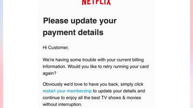 Photo of Phishing Scam Disguised As Netflix Email