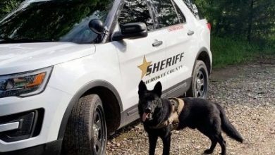 Photo of Cherokee County Sheriff’s Office K9 Bear to get donation of body armor