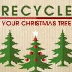 Christmas Tree Recycle
