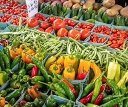 Photo of Community garden planned for Carthage’s Griggs Park