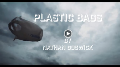 Photo of Joplin student wins top prize for film “Plastic Bags”