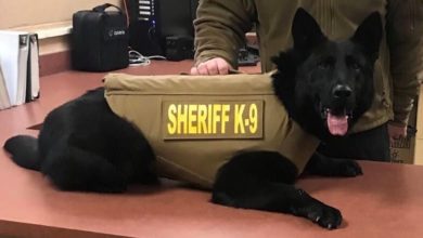 Photo of Cherokee County’s K9 Bear Receives Body Armor