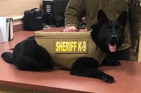 Cherokee County’s K9 Bear Receives Body Armor