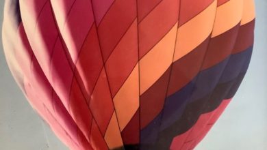 Photo of Balloons in the sky this Columbus Day weekend