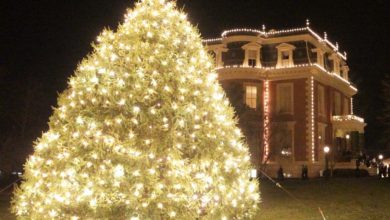 Photo of What goes into finding the Missouri Governor’s Mansion Christmas tree?