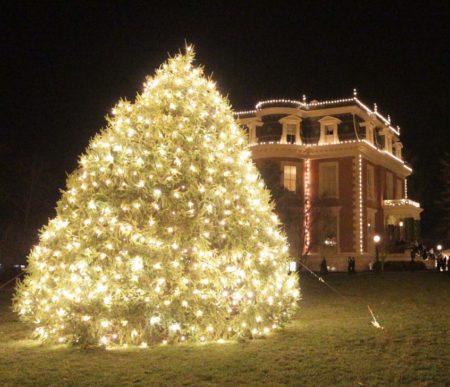 What goes into finding the Missouri Governor’s Mansion Christmas tree?