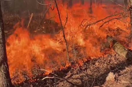 Wildfires in Texas could move into Oklahoma, Kansas