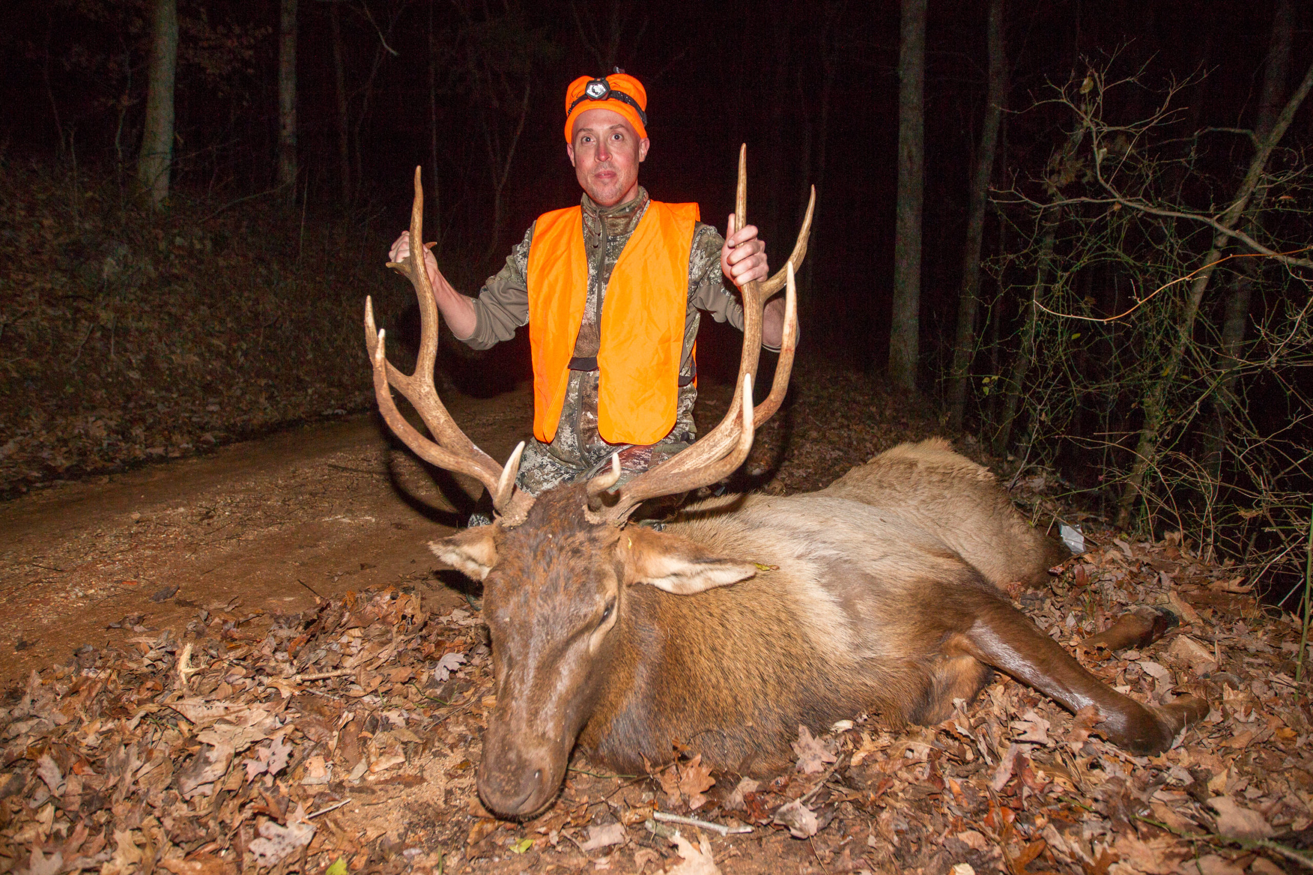 Missouri elk hunters go five for five in inaugural elk hunt Newstalk KZRG