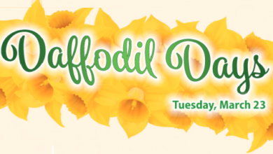 Photo of Daffodil Days benefits Cornell-Beshore Cancer Institute Fund