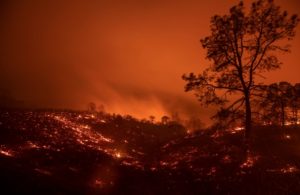 Out-of-control wildfires scorch Texas Pan...