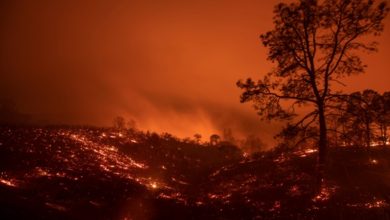 Photo of 5,000 under evacuation orders as wildfires rage
