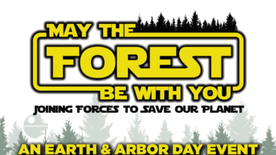 Photo of Joplin Parks and Recreation announces “May The Forest Be With You” Event