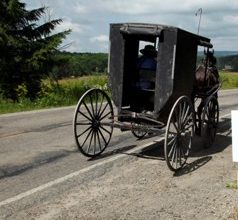 Photo of Amish buggy struck in hit and run accident in Cedar County