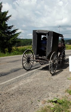 Amish Buggy