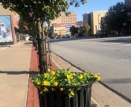 Photo of Joplin South Middle School students help plant flowers downtown