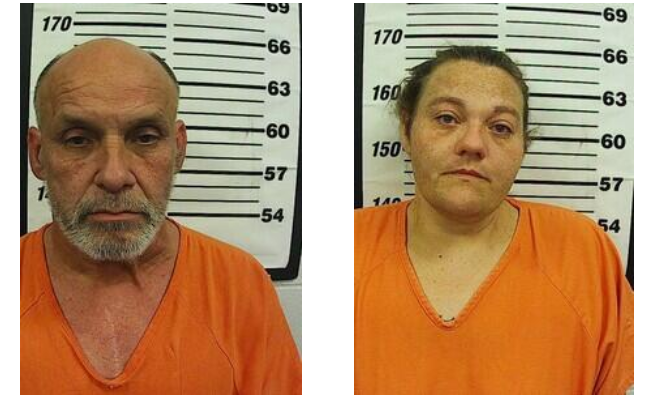 Galena Burglars