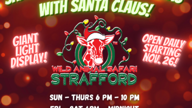 Photo of Wild Animal Safari in Strafford to hold Drive-Thru light event displays