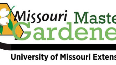 Photo of New online master gardener training begins January 19