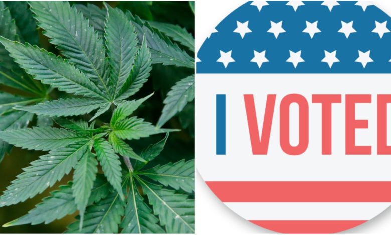 Weed Vote