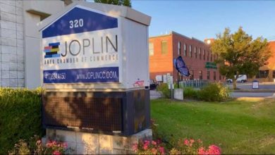 Photo of Free tree limb and brush drop-off site coming to Joplin