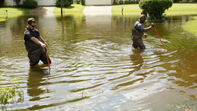 Photo of This week’s storm killed an 11 year old in Bentonville, Arkansas